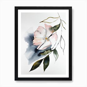 Cherry Blossom 12 Art Print