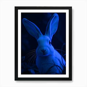 Rabbit In Blue Light - Diverse Art Illustration 49 Art Print