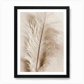 Feather Art Print