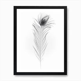 Black Peacock Feather 1 Art Print