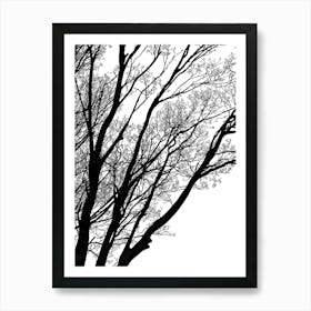 Black And White Tree Silhouette Art Print