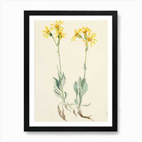 Yellow Daisy Art Print