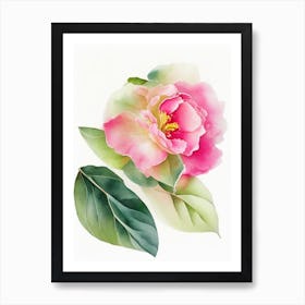 Camellia Wildflower Watercolour 2 Art Print