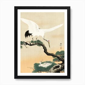 Japanese Crane Bird On Branch Of Pine (1900 1930), Ohara Koson Art Print