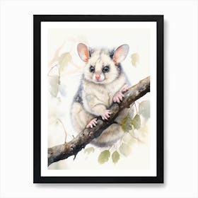 Light Watercolor Painting Of A Common Brushtail Possum 4 Art Print