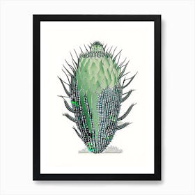 Turk S Head Cactus William Morris Inspired 1 Art Print