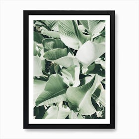 Green Leaves 1 Art Print