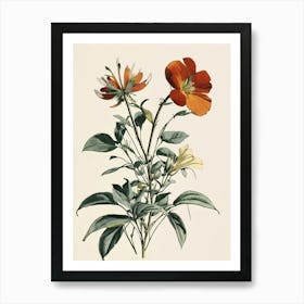 Two Orange Flowers 1 Art Print