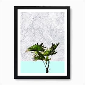 Palm Plant on Marble and Pastel Blue Wall Art Print