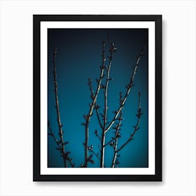 Dark Buds Art Print