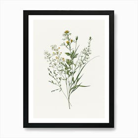 Vintage Botanical Galleria Style Wildflower Painting 7 Art Print