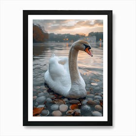 Swan In Water Art Print