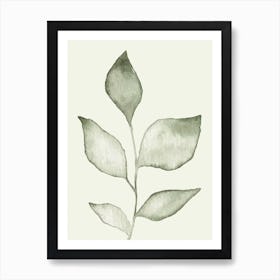 Pale Green Leaves Art Print