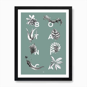 Botanica Letters Seagreen Art Print