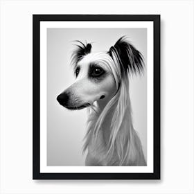 Chinese Crested B&W Pencil Dog Art Print