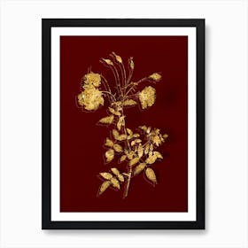 Vintage Red Rose Botanical in Gold on Red n.0027 Art Print