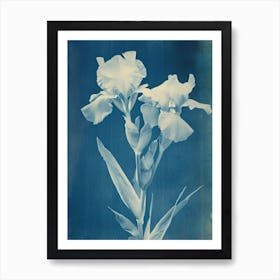 Iris Dream Art Print