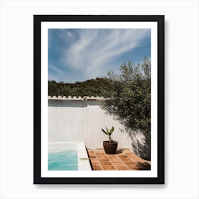 Swimmingpool with olive tree In Malaga, Spain Art Print
