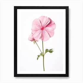 Pressed Wildflower Botanical Art Wild Geranium 1 Art Print