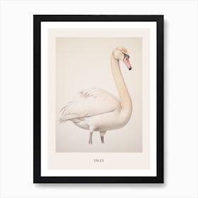 Vintage Bird Drawing Swan 1 Poster Art Print