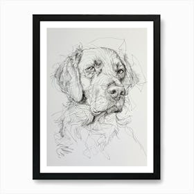 Flat Coated Retriever Dog Line Sketch  3 Art Print