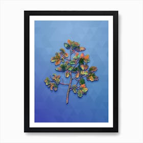 Vintage Kermes Oak Botanical Art on Blue Perennial n.0575 Art Print