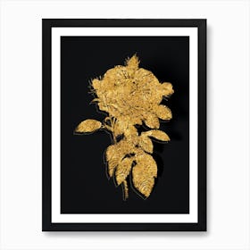 Vintage Giant French Rose Botanical in Gold on Black n.0362 Art Print