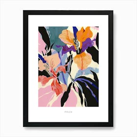 Colourful Flower Illustration Poster Phlox 3 Art Print