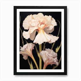 Flower Illustration Carnation Dianthus 6 Art Print