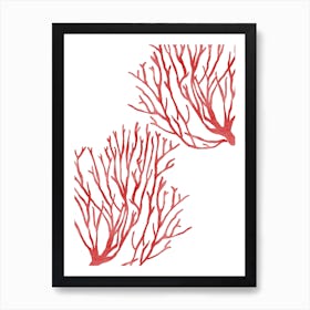 Red Coral Art Print