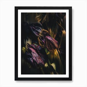 Night Of Tulipdance Art Print