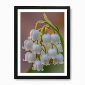 Lily Of The Valley Art Art Print