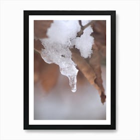 Icicle On A Branch 1 Poster