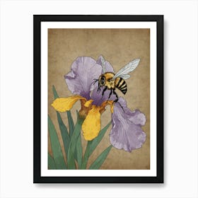 Bee On Iris Art Print