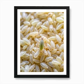 A Single Grain Of Rice Magnified To Reveal Its In Art Print