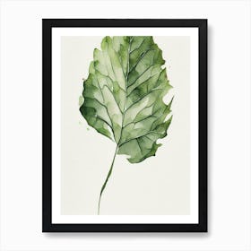 Wild Lettuce Leaf Minimalist Watercolour 2 Art Print