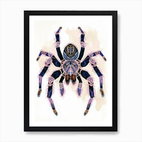 Colourful Insect Illustration Tarantula 1 Art Print