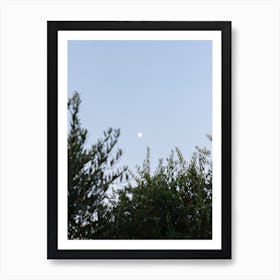 The Moon And Olive Tree Art Print