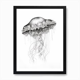 Box Jellyfish Drawing 3 Art Print