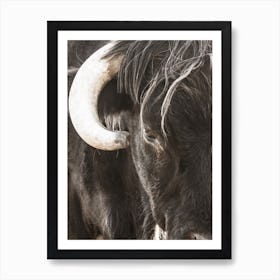 Black Bull With Horns Art Print