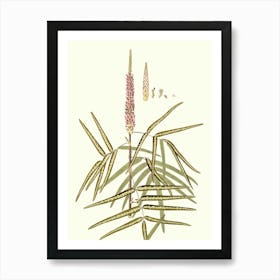 Sassafras Art Print