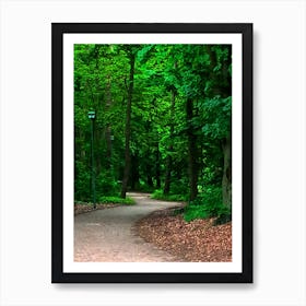 Path Art Print