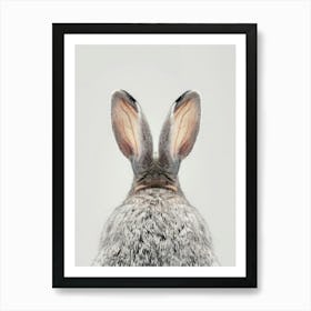 Rabbit'S Ears 1 Art Print