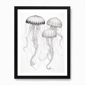 Turritopsis Dohrnii Importal Jellyfish 3 Art Print