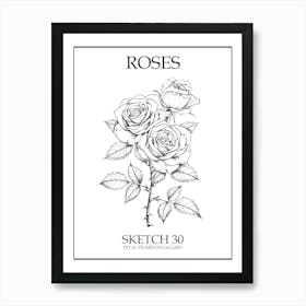 Roses Sketch 30 Poster Art Print