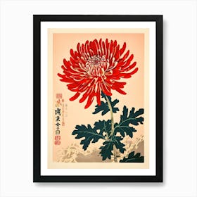 Chrysanthemum 16 Art Print