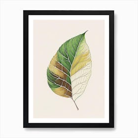 Birch Leaf Warm Tones 3 Art Print