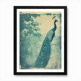 Vintage Peacock In The Trees Cyanotype Inspired 2 Art Print