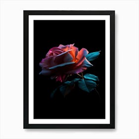 Rose On A Black Background 8 Art Print