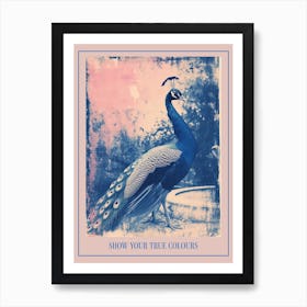 Peacock In The Fountain Pink & Blue Cyanotype Inspired 1 Poster Art Print